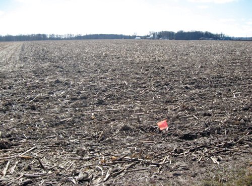 Property photo 4 - 127 Acres Offered in 4 Tracts